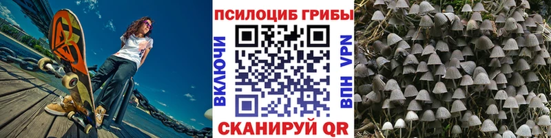 Галлюциногенные грибы Psilocybine cubensis Озёрск